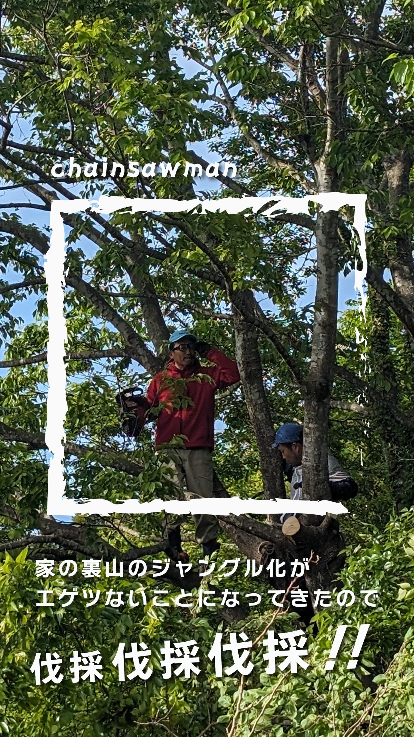 裏山伐採！！タカスギ！！