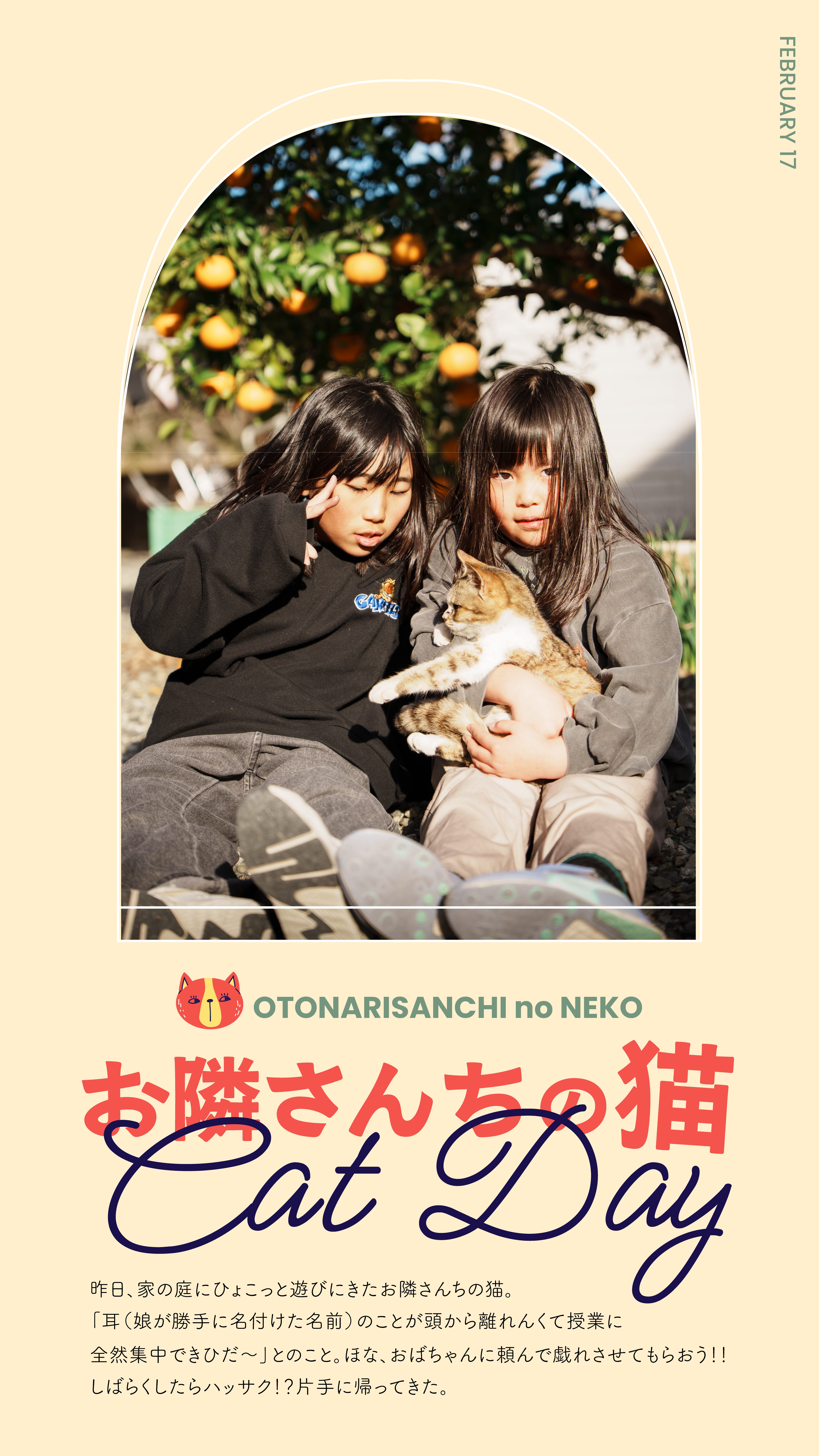 お隣さんちの猫