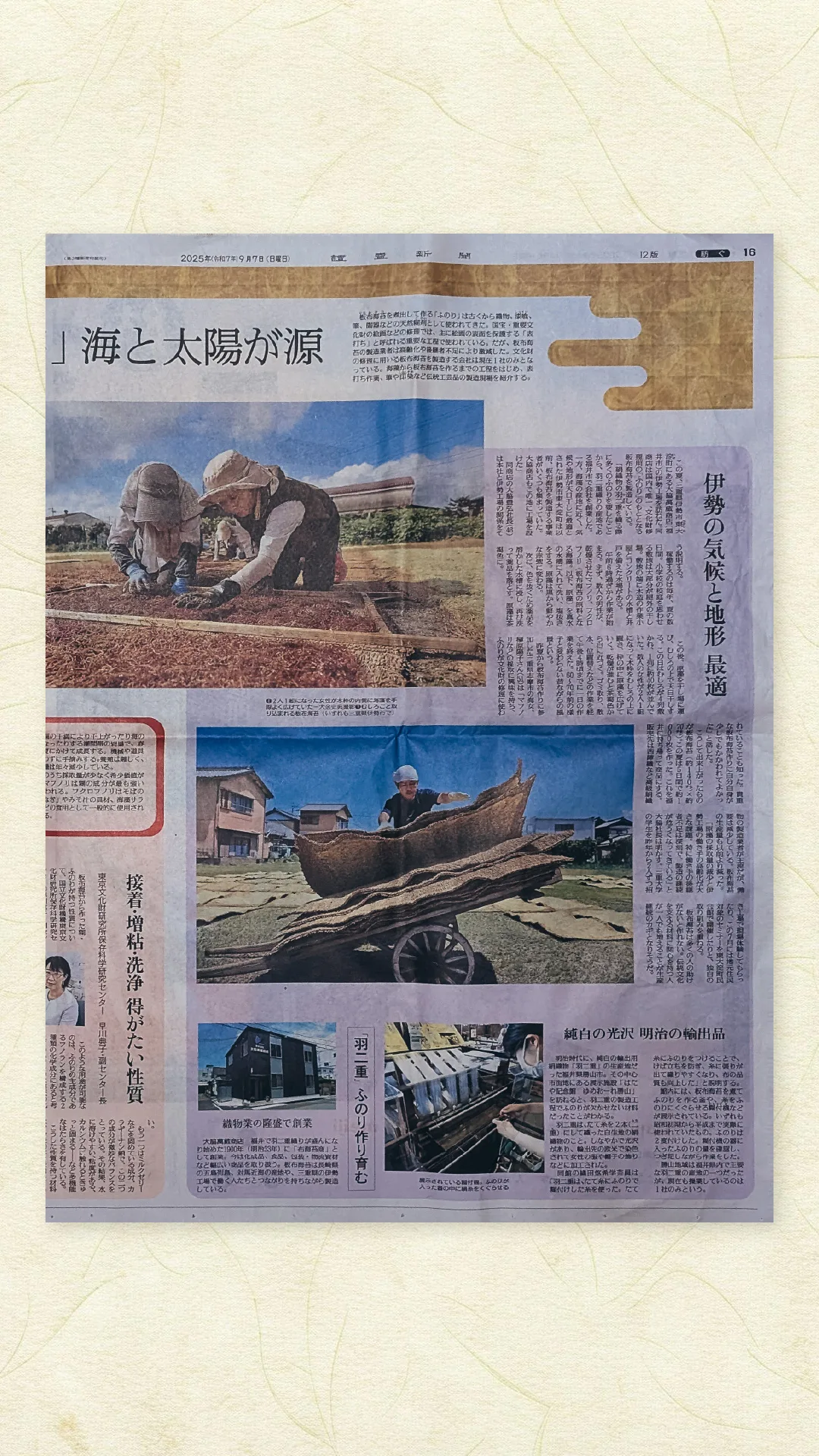 伊勢-板布海苔-03