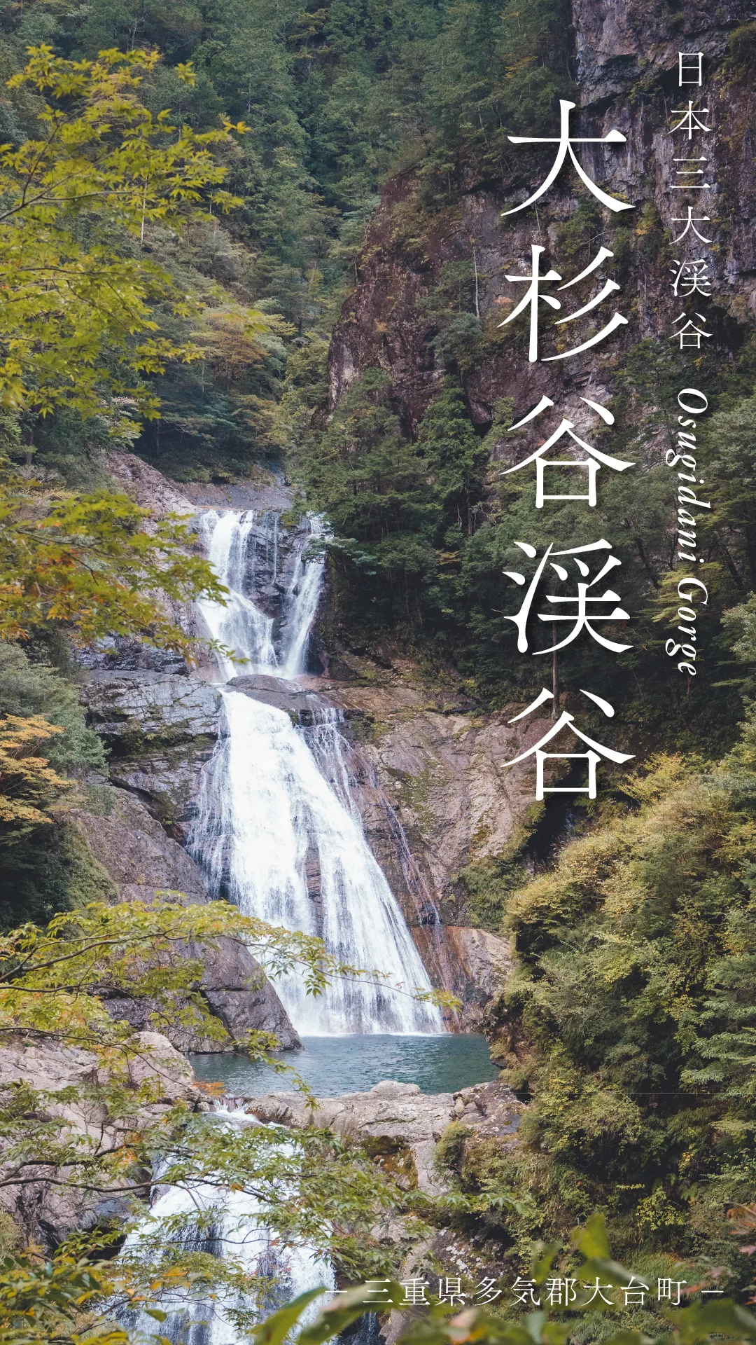 「大杉谷渓谷」&「桃ノ木小屋」